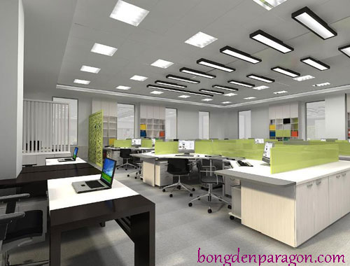 mang den paragon