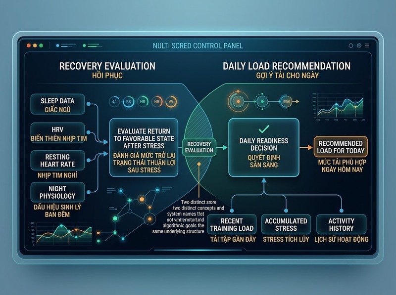 So sánh readiness score và recovery score về mục tiêu và cách diễn giải