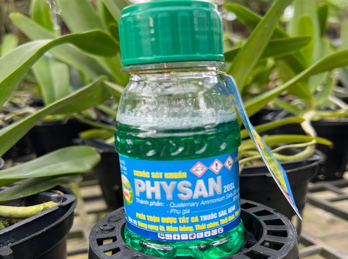 Các loại thuốc trị thối nhũn cho lan tốt nhất nên dùng