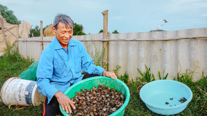 Ứng dụng kỹ thuật nuôi cua đồng trong ao đất lót bạt HDPE năng suất cao