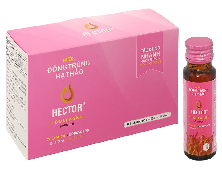 Uống đông trùng hạ thảo Hector Lavite bao lâu có kết quả?