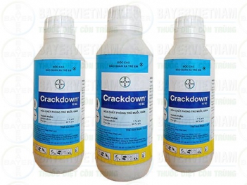 Thuốc diệt côn trùng có tác dụng như thế nào? - Làm đẹp
