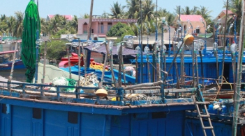 Dùng đèn cao áp philip cho việc đánh bắt cá ngừ không tốt - Làm đẹp