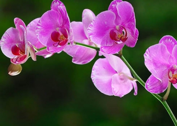 Khi cần chuyển hàng đi nước ngoài thì gọi ai - Làm đẹp