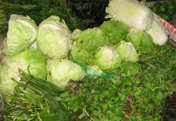 Diệt chuột phá hoại hoa màu bằng thuốc diệt chuột - Làm đẹp