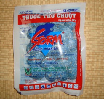Cách diệt chuột cống bằng thuốc storm - Làm đẹp