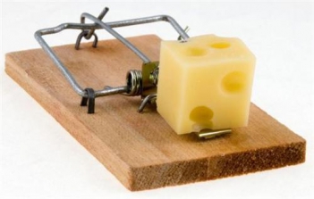 Các loại bẫy chuột cống được sử dụng nhiều nhất - Làm đẹp