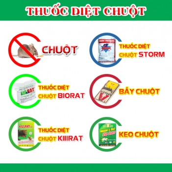 Nhiều người đã diệt chuột bằng cách gây vô sinh - Làm đẹp