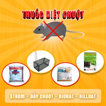 Dùng thuốc diệt chuột Biorat thì nhà không còn chuột - Làm đẹp