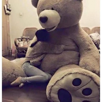 Gấu bông Teddy cao 3m - Làm đẹp