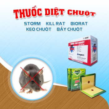 Các cách diệt chuột hiệu quả - Làm đẹp